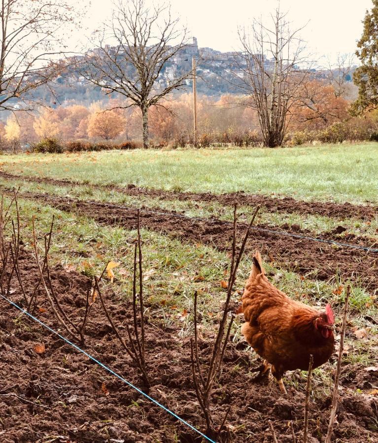 Gite A La Ferme De Verdurette กอร์เดอซูร์ซีแยล ภายนอก รูปภาพ